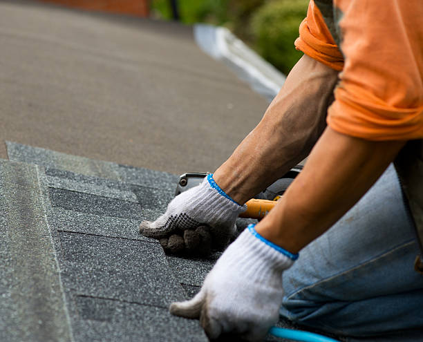 Best Metal Roofing Contractor  in Brookings, OR